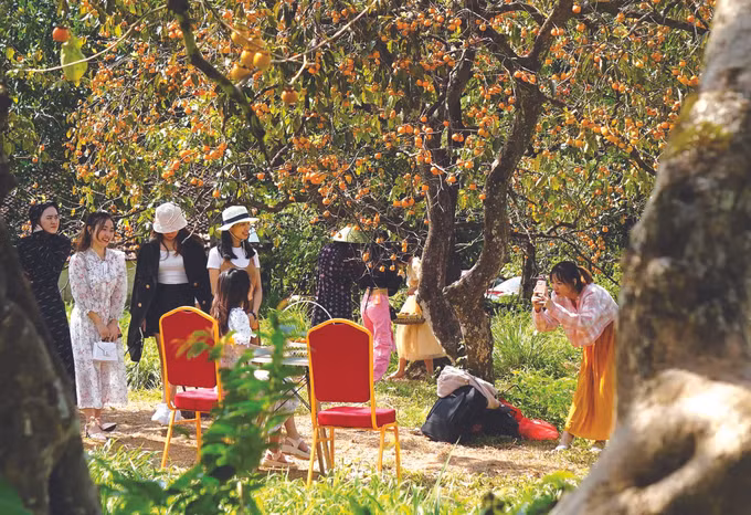 ស្រុក ណាមដាន អភិវឌ្ឍវប្បធម៌ផ្សារភ្ជាប់នឹងទេសចរណ៍ ảnh 7