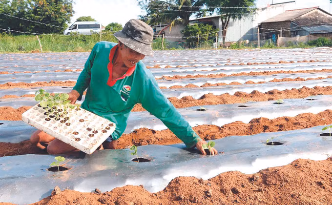 ការផ្លាស់ប្តូរនៅតំបន់បងប្អូនជនជាតិ ខ្មែរ  ស្រុក កូវង៉ាង ảnh 1