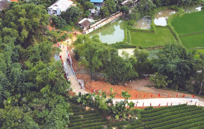 ខេត្ត ទ្វៀនក្វាង ខិតខំប្រឹងប្រែងកាត់បន្ថយភាពក្រីក្រដោយចីរភាព ảnh 1