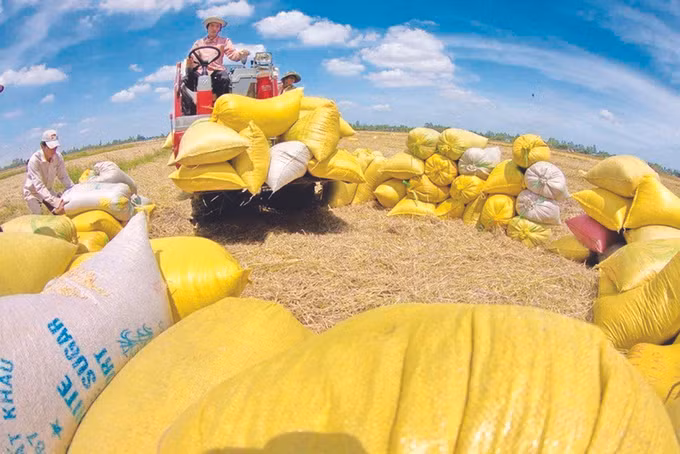 អង្ករស្អាត វីធុយ ảnh 1