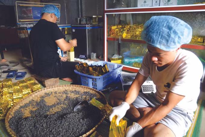 តែ សានទ្វៀត ណាហាង ផលិតផលពិសេសប្រចាំតំបន់ ảnh 2