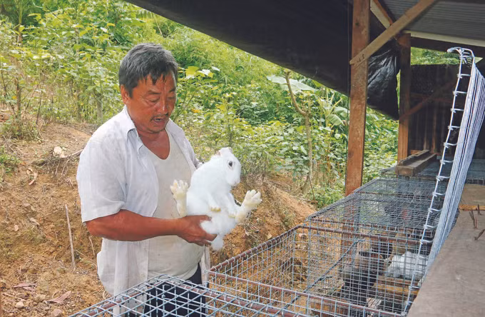 បងប្អូនជនជាតិ ក្ហ កាត់បន្ថយភាពក្រីក្រ អាស្រ័យដោយការធ្វើពិពិធកម្មគំរូចិញ្ចឹមសត្វ ảnh 2