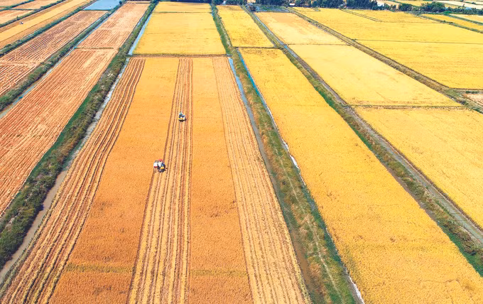 ការប្រែមុខមាត់ថ្មីនៅជនបទថ្មីខេត្ត បាកលៀវ ảnh 2