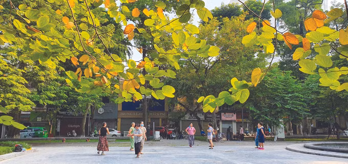 ចាប់ផ្តើមឈានចូលវសន្តរដូវនៅ ហាណូយ ảnh 4