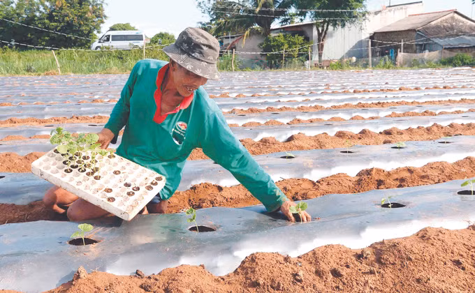 សហករណ៍រួមដំណើរជាមួយកសិករ ខ្មែរ ảnh 6