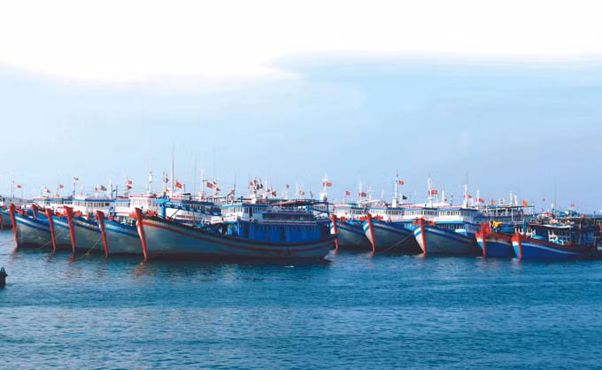 ប្រៀបខ្លាំងនៃសេដ្ឋកិច្ចសមុទ្រនៅស្រុកកោះ ភូគ្វី ảnh 1