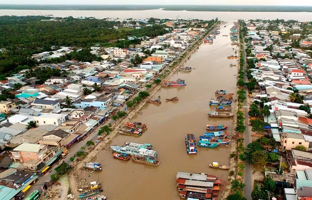 ខេត្ត សុកត្រាំង ទាញយកប្រៀបខ្លាំងផលិតកម្មកសិកម្ម ảnh 1
