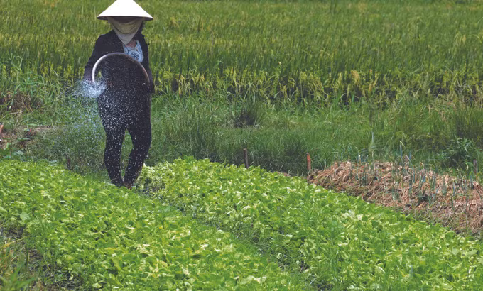 វិធីមួយ ដែលជួយអោយនារី ខ្មែរ ក្លាយជាអ្នកមាន ảnh 3