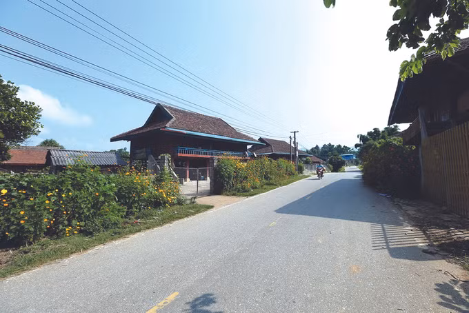 ការផ្លាស់ប្តូរថ្មីនៅដែនដីមូលដ្ឋានបដិវត្តន៍ មឿងផាំង ảnh 3