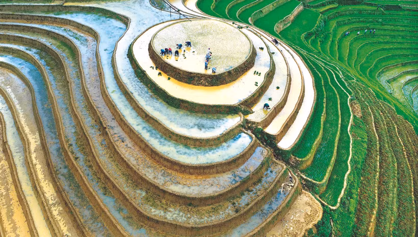 ជនជាតិ ម៉ុង នៅស្រុក មូកាងចាយ (ខេត្ត អៀនបាយ) ឈានចូលរដូវស្ទូងស្រូវ