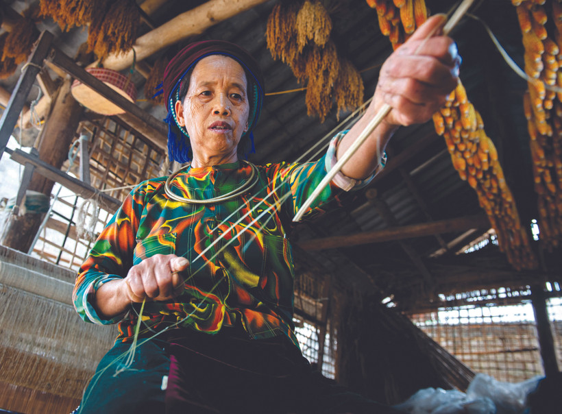 សរសៃធ្មៃបន្ទាប់ពីប្រមូលផលរួចនឹងត្រូវបានចៀរចេញទៅជាសរសៃតូច