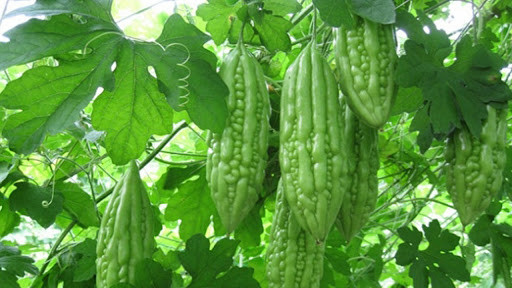 ប្រយោជន៍នៃទឹកម្រះស្រស់