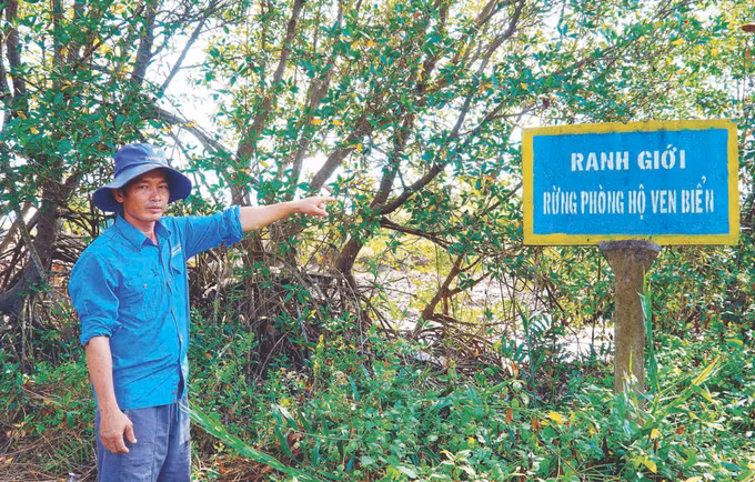 Phat trien kinh te gan bao ve rung o Kien Giang 1.jpg