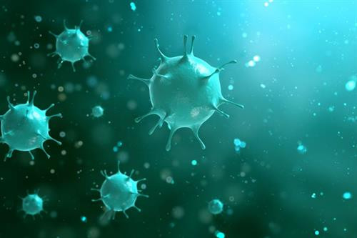 វីរុសកូរ៉ូណា - រោគសញ្ញានិងវិធីការពារ