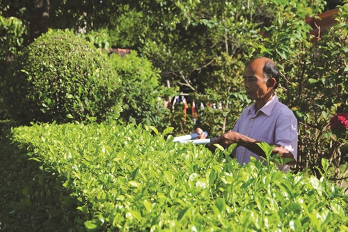 ពូបា "រណសិរ្ស"