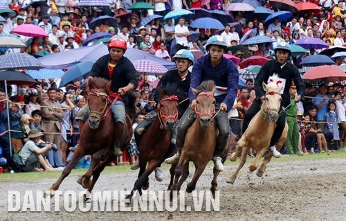 ភាព​ទាក់ទាញ​នៃ​ការ​ប្រណាំងសេះ​ "​សម្រិប​ជើងសេះ​លើ​តំបន់​ខ្ពង់រាប​ ​-​ ​ស​"