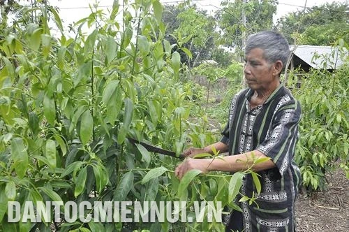ចាស់ភូមិ អាងុយហ៍ - គំរូភ្លឺថ្លានៃភូមិ កែបរ៉ាម