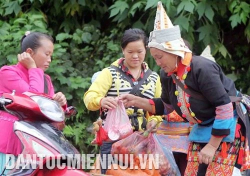 ចម្រុះពណ៌នៃផ្សារណាត់តំបន់ខ្ពស់ វ៉ាងម៉ាចាយ
