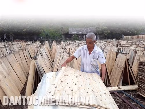 ផលិតឈើវេនានាំមកនូវប្រសិទ្ធភាពសេដ្ឋកិច្ចខ្ពស់នៅខេត្ត បាក់កាន