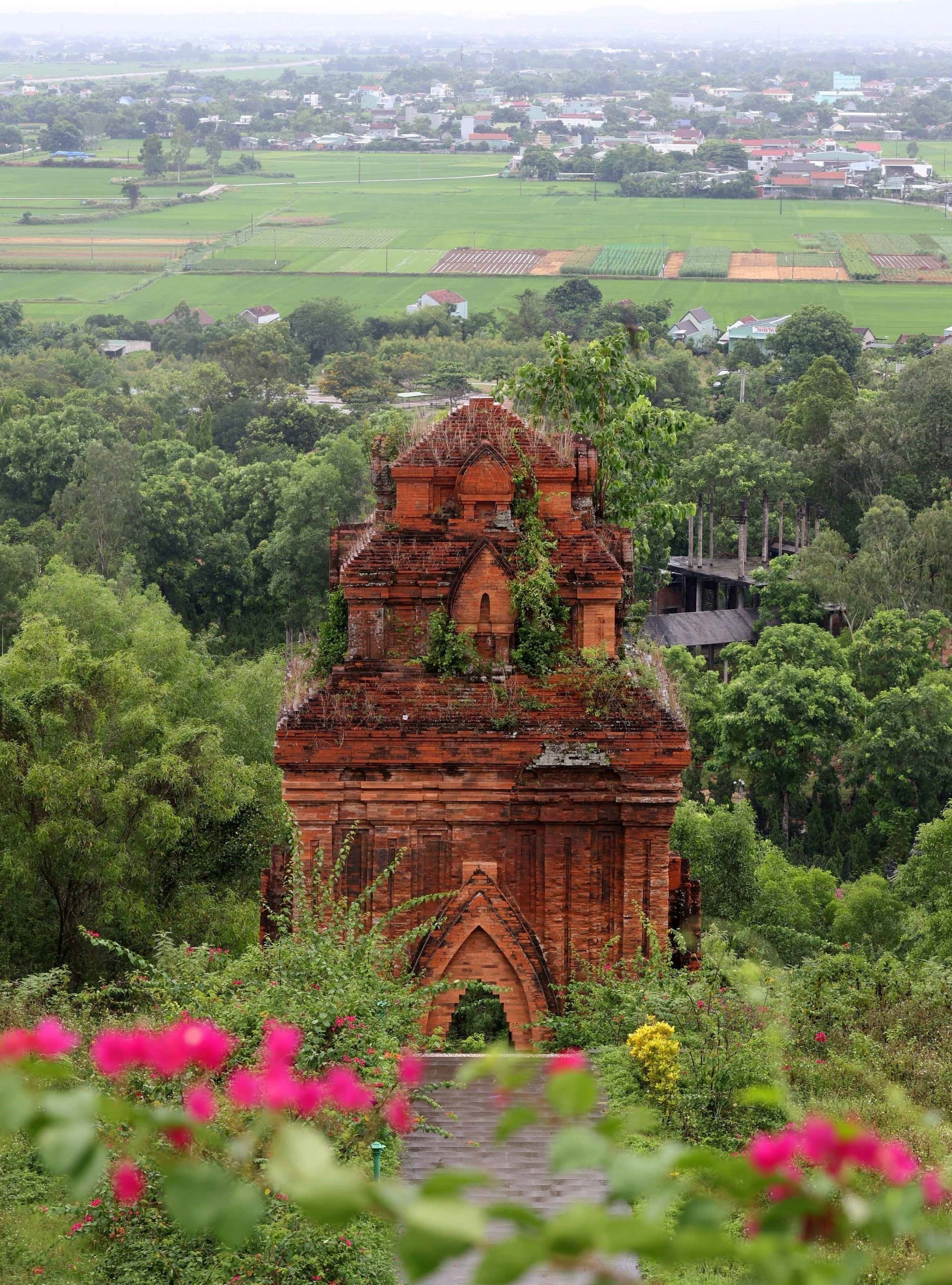 ប្រាសាទ ថាបកុង ដ៏ល្អឯកក្នុងប្រជុំប្រាសាទ ថាប បាញ់អ៊ីត។ រូបថត៖ ញ៉ឹតអាញ់/ទីភ្នាក់ងារព័ត៌មាន វៀតណាម cham-7.jpg