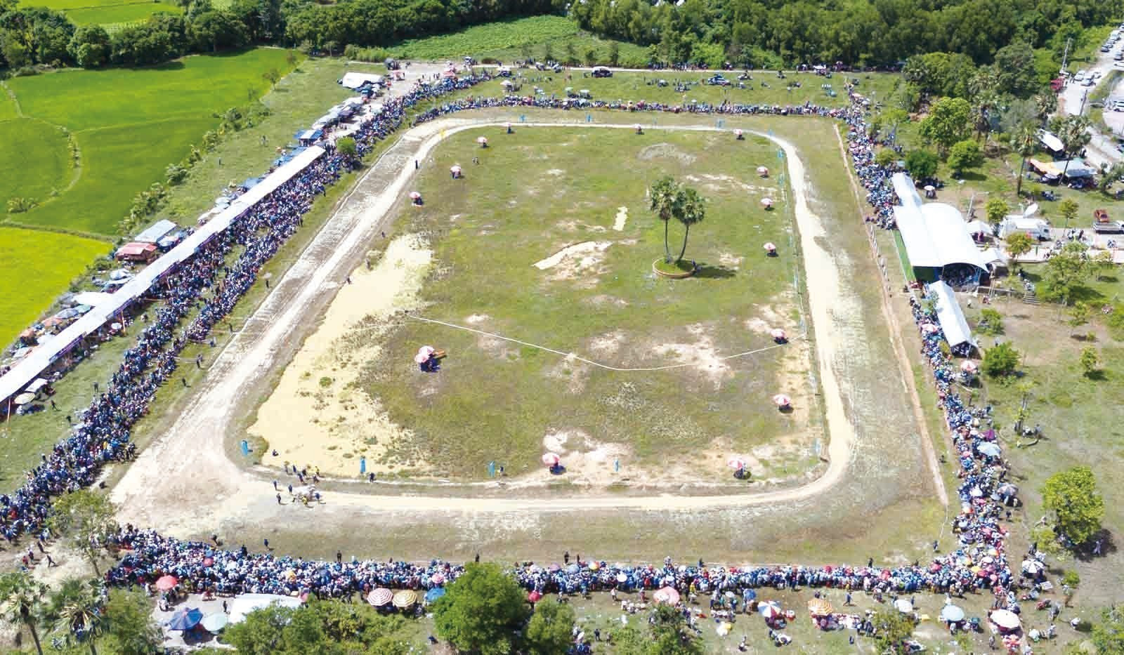 ទីលានប្រណាំងគោឃុំ ទ្រីតូន ស្ថិតក្នុងមណ្ឌលកីឡា - ទេសចរណ៍ចម្រុះ តាប៉ា - ស្វាយចេក ឃុំ ទ្រីតូន (ខេត្ត អានយ៉ាង)។ hoi-dua-bo-3.jpg