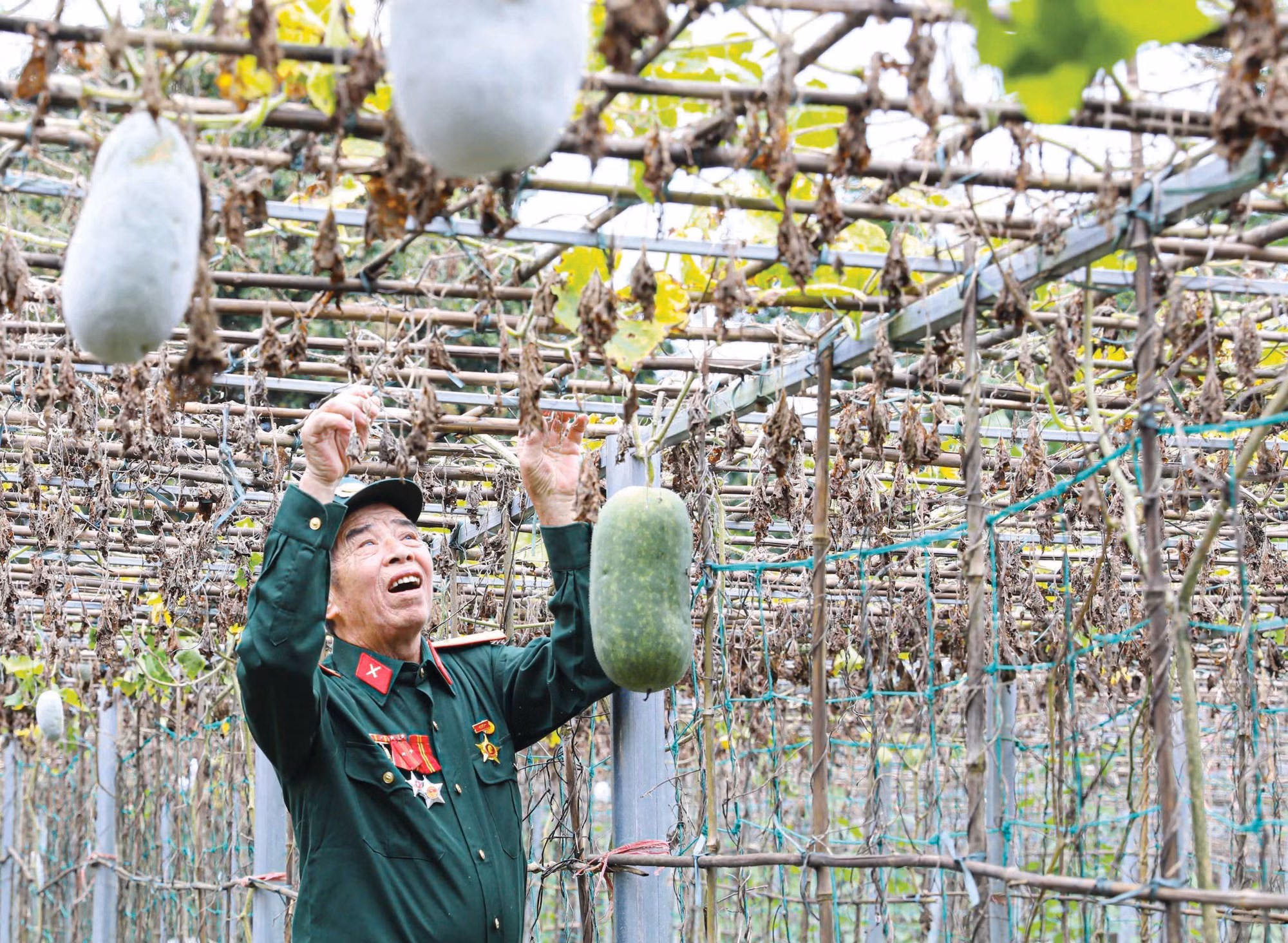 den-on-dap-nghia-8.jpg