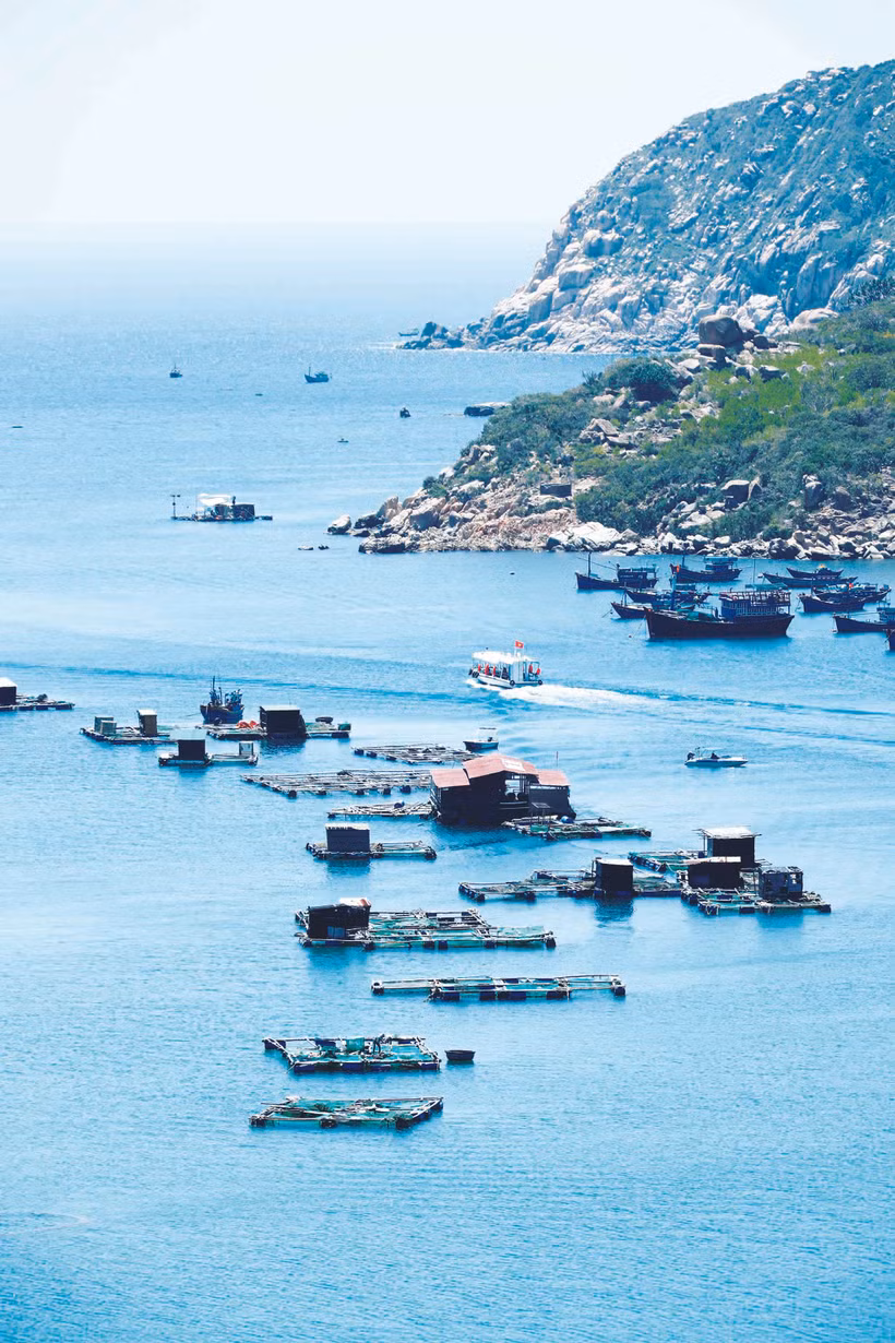 ឈូងសមុទ្រ វិញហ៊ី - គោលដៅទេសចរណ៍ដ៏ទាក់ទាញនៃខេត្ត និញធន់។