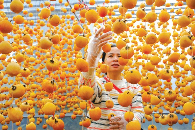 ខ្សែចង្វាក់វេចខ្ចប់ផលិតផលតែបម្រើទីផ្សារនាំចេញរបស់អង្គភាពមួយនៅទីក្រុង បាវឡុក - ធានីនៃពាណិជ្ជសញ្ញា "តែ ប្លាវ" h10.jpg