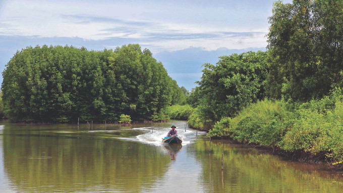 ស្រុក ង៉ុកហៀន ជំរុញយ៉ាងខ្លាំងក្លាការអភិវឌ្ឍទេសចរណ៍បៃតងជួយភ្ញៀវទេសចរទទួលបានការឆ្លងកាត់បទពិសោធន៍ខ្យល់អាកាសល្អបរិសុទ្ធនៃធម្មជាតិ 10-cua Ngoc Hien-ca mau-anh Huynh The Anh.jpg