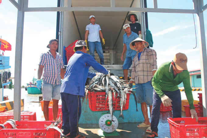 7-tau ca Bac Lieu-danh chanh da.JPG