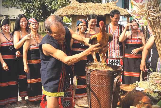 Ảnh lúa mới 5.jpg