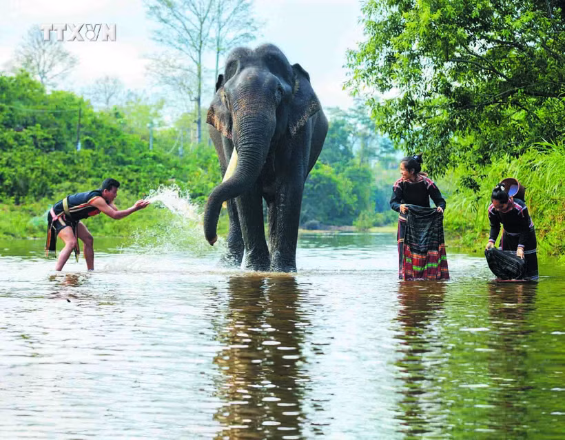 បទប្រគំតន្ត្រីនៃព្រៃភ្នំ