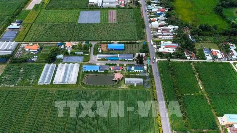 គោលនយោបាយជាក់ស្តែង ជំនួយកម្លាំងបងប្អូនជនជាតិភាគតិចឈោងឈានឡើង