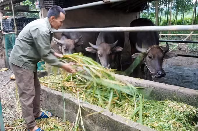 ប្រគល់ 'សន្ទូច' បង្កើតការងាររកស៊ីចិញ្ចឹមជីវិតប្រកបដោយស្ថិរភាពជូនបណ្តាក្រុមគ្រួសារក្រីក្រនៅក្នុងតំបន់លំបាកលំបិន 