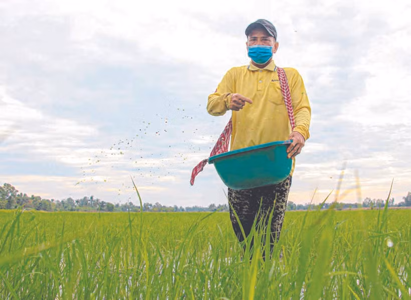 មកពីការបង្កបង្កើតផលយ៉ាងឧស្សាហ៍ព្យាយាម ចេះសន្សំសំចៃក្នុងការចាយវាយទុកលុយសម្រាប់ទិញដីធ្លីបន្ថែម មកទល់សព្វថ្ងៃនេះគ្រួសារលោក ថាច់ សាខា មានផ្ទៃដីដាំស្រូវចំនួន ៤ ហិកតាហើយមានផ្ទះសំបែងធំទូលាយជាបង្គួរទៀតផង