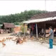 ដើមទុនគោលនយោបាយបើកផ្លូវចាកផុតពីភាពក្រីក្រនៅតំបន់ព្រំដែន សឺនហុង