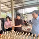 បើកទិសដៅរួចផុតពីភាពក្រីក្រផ្តើមពីគំរូបណ្តុះជាលិការុក្ខជាតិ 