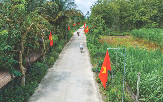 CONG TAC DT 3.jpg