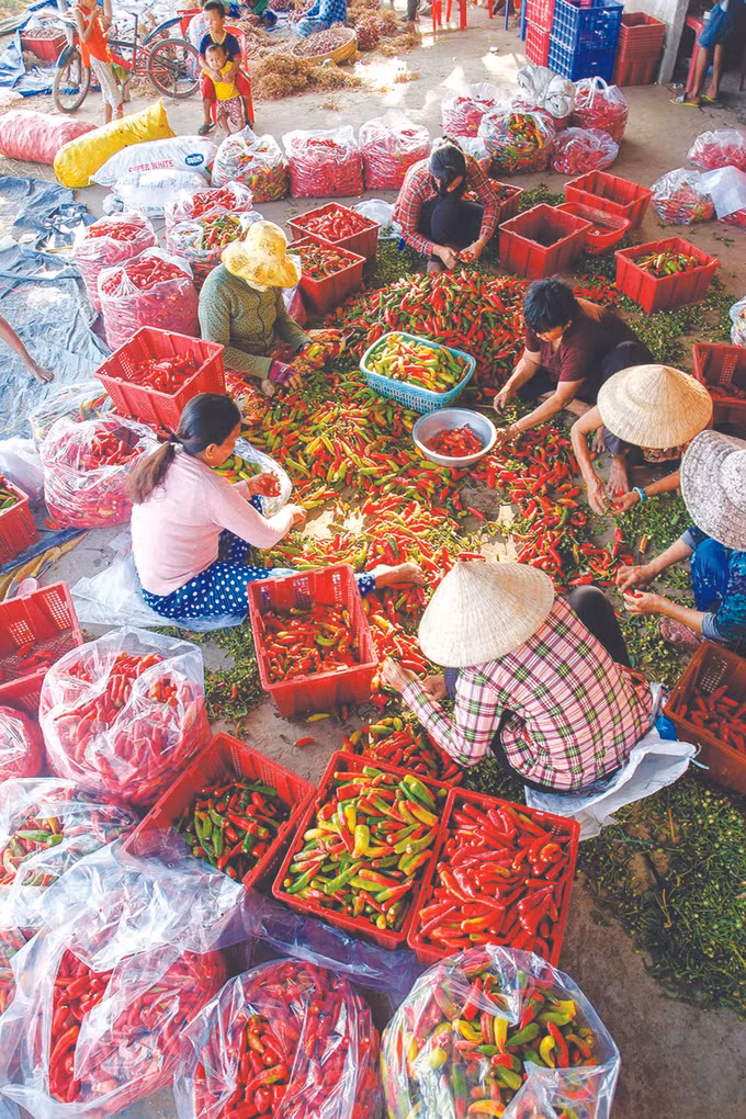 ការរួមកម្លាំងគ្នា ពុះពារជម្នះជំងឺរាតត្បាតសកលនៅតំបន់បងប្អូនជនជាតិ ខ្មែរ ណាមបូ ảnh 4