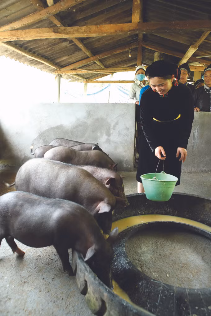 ប្រសិទ្ធភាពពីទម្រង់រូបភាពសន្សំឥណទានរបស់នារីនៅឃុំ ក្វាងង្វៀន ảnh 2