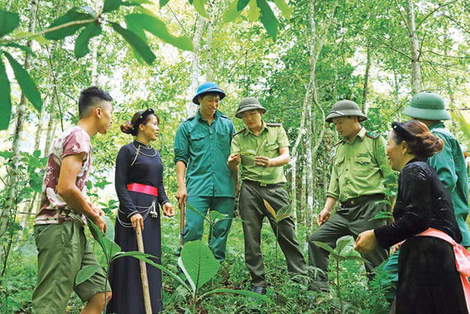 ស្រុក ឡឹមប៊ិញ ពឹងផ្អែកលើប្រជាពលរដ្ឋដើម្បីថែរក្សាការពារព្រៃឈើ ảnh 1