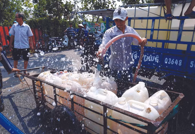 វាលទំនាបទន្លេ គឺវឡុង ឆ្លើយតបទៅនឹងគ្រោះរាំងស្ងួតនិងការជ្រាបជាតិប្រៃ ảnh 7
