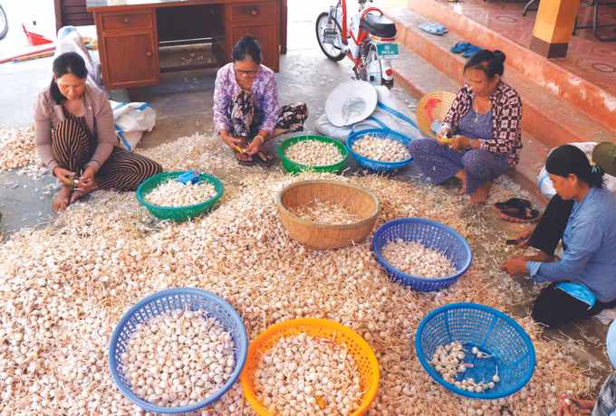 កោះ លីសឺន ដ៏សម្បូរស្តុកស្តម្ភ ảnh 4