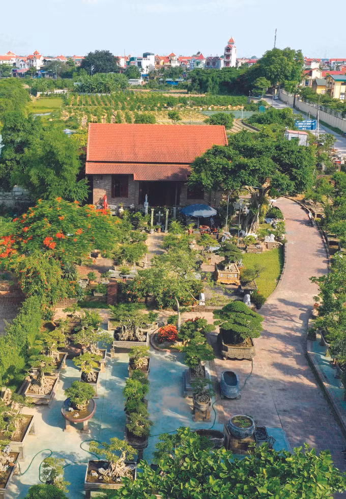 ប្រសិទ្ធភាពជំហានដំបូងពីទម្រង់រូបភាពជនបទថ្មីគំរូនៅឃុំ ហុងវ៉ឹន ảnh 1