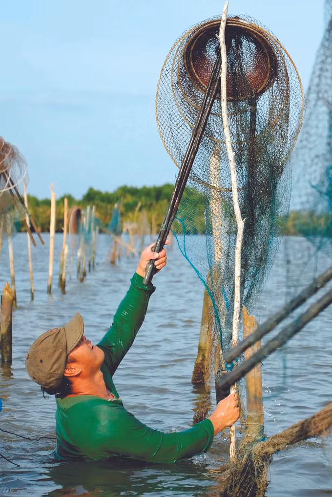បឹងទឹកប្រៃ ធីទឿង - គោលដៅទេសចរណ៍លើស្ទឹងទន្លេនៃខេត្ត កាម៉ៅ ảnh 3