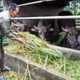 ប្រគល់ 'សន្ទូច' បង្កើតការងាររកស៊ីចិញ្ចឹមជីវិតប្រកបដោយស្ថិរភាពជូនបណ្តាក្រុមគ្រួសារក្រីក្រនៅក្នុងតំបន់លំបាកលំបិន 