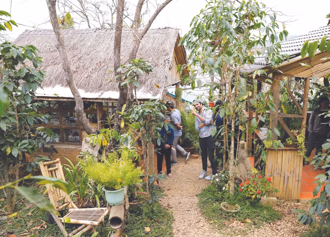 ស្រ្តីជនជាតិ ក្ហ ម្នាក់កសាងអាជីពនៅលើដែនដីកំណើត ảnh 2