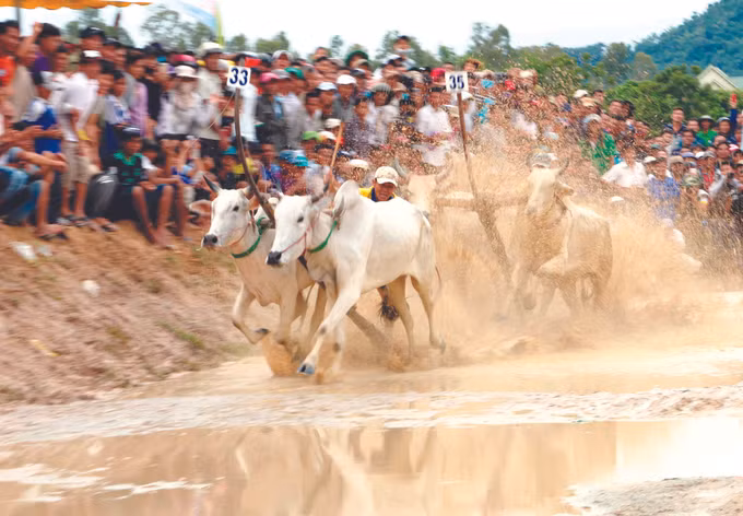 សម្រស់និទាឃរដូវនៅស្រុកតំបន់ភ្នំ ទី្រតូន ảnh 5