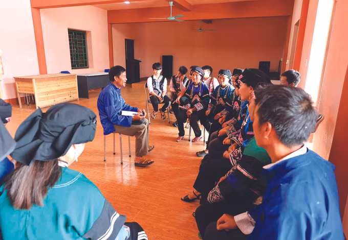 ទទួលបានផ្លែផ្កាល្អលើតំបន់ភ្នំ ផ្តើមពីម្លប់នៃអាវ BLOUSE ពណ៌ស ảnh 6