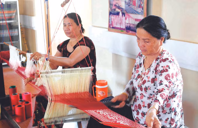 ស្លាកស្នាមអនុស្សាវរីយ៍ពីវិស័យសេដ្ឋកិច្ចសមូហភាពនៅខេត្ត និញធន់ ảnh 2